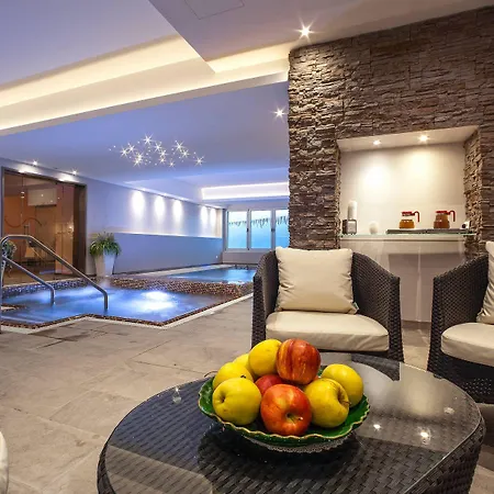 Otel Bristol Buja Abano Terme