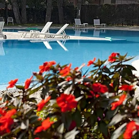 Bristol Buja 5*