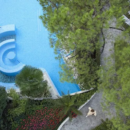 Bristol Buja אבנו טרמה